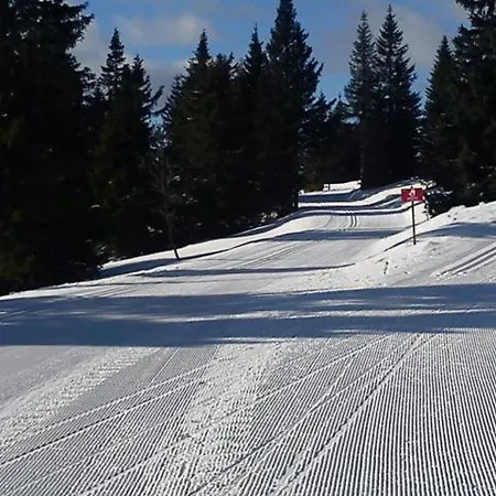 Apartma Rogla Gaber 110 Apartmán Zreče