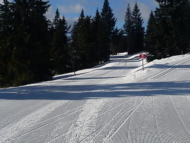 Apartma Rogla Gaber 110 Apartment Zrece