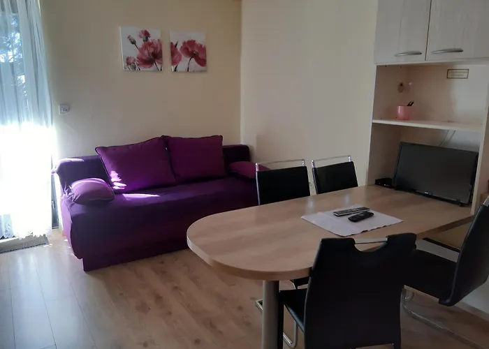 Apartma Rogla Gaber 110 *